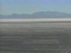 Horizon : White Strip