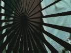 BeeTV : Windmill