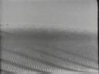 Horizon : White Sands