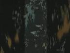 Brume : toiles Floues