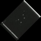 eLXg 