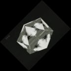 eLXg 