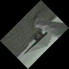 Text 