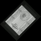 eLXg 