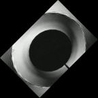 eLXg 