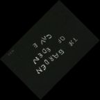 Text 