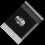 eLXg 