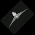 eLXg 