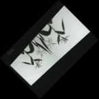 eLXg 