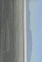 n : zCgETY