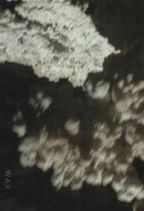 Grotte : Rayon de Miel Mural