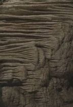 Grotte : Rideaux