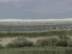 Horizon : White Strip
