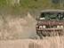 Cars : Datsun