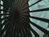 BeeTV : Windmill
