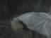 Sleeping : Cave