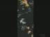 Optical Instruments : Electric Telescope